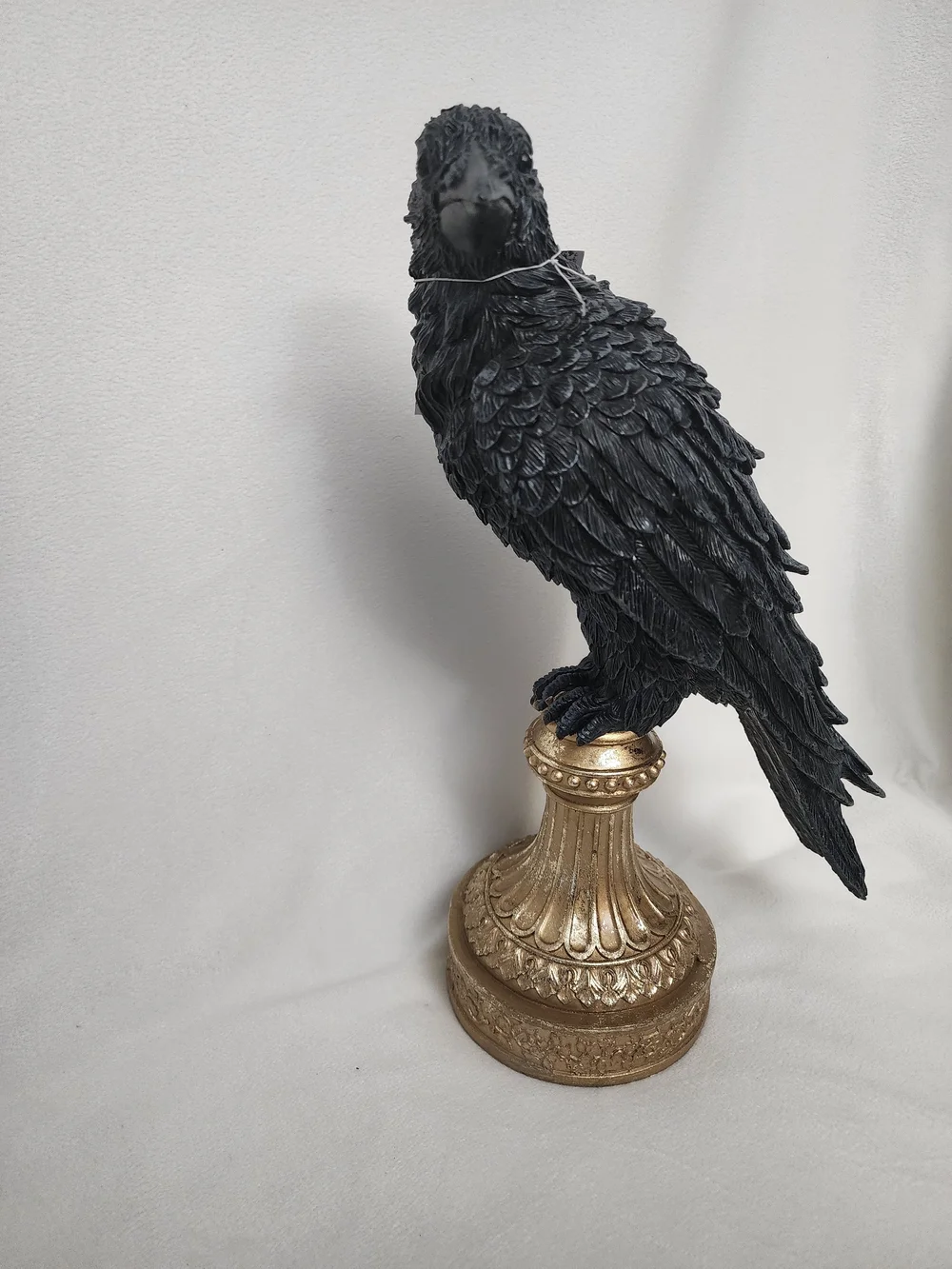 N/A elegant black